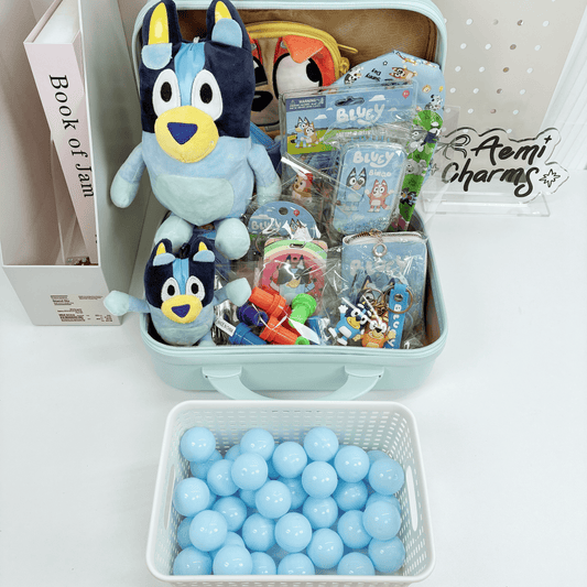 BL Valise 14 pouces - Boîte Cadeau Mystère