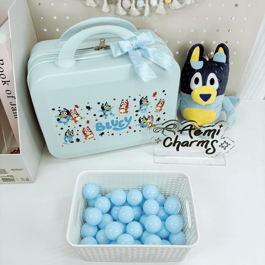 BL Valise 14 pouces - Boîte Cadeau Mystère