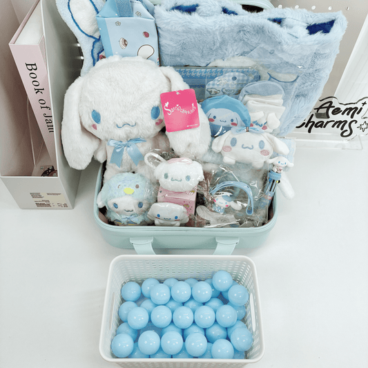 Boîte mystère de valise CN de 14 pouces